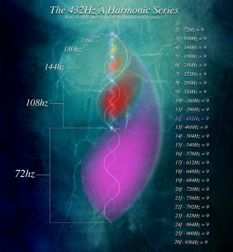 8483550995269023601_n