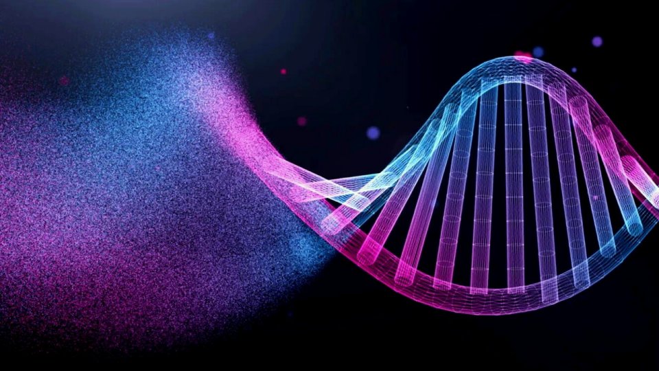 DNA e comunicazione non-locale